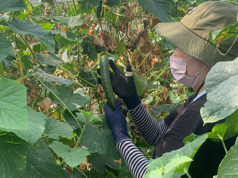 就業レポートvol.01「深村農園」様