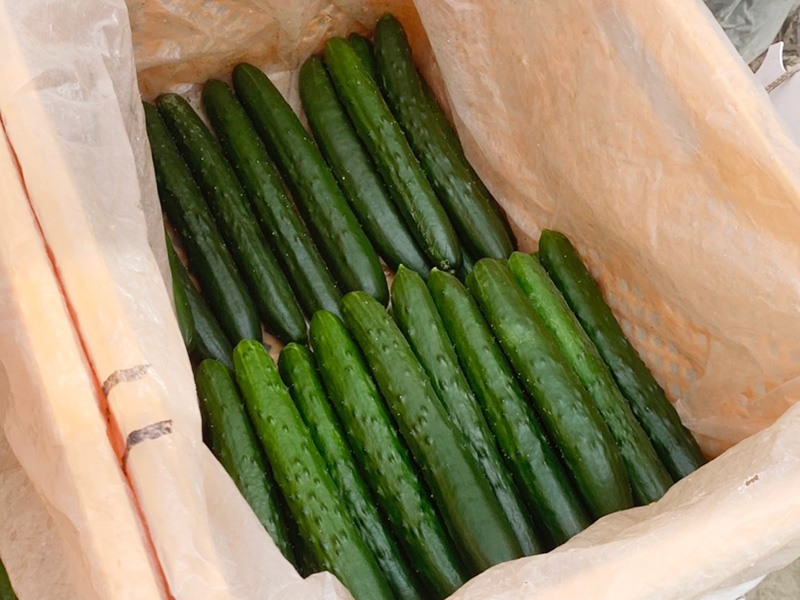 就業レポートvol.02「深村農園」様