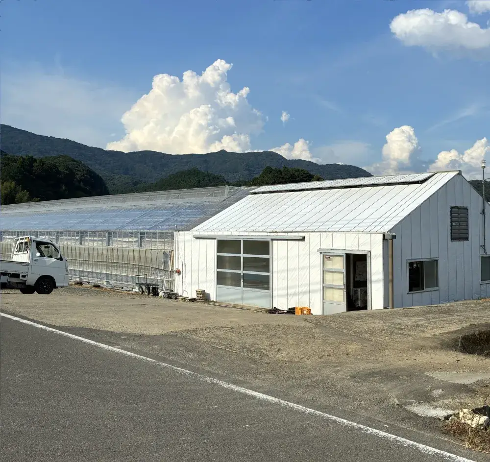 ★ピックアップ求人★【武雄市朝日町】きゅうり農家さんで収穫に関わる補助作業 (9/5 7:00～12:00 うち2時間以上勤務が可能な方)